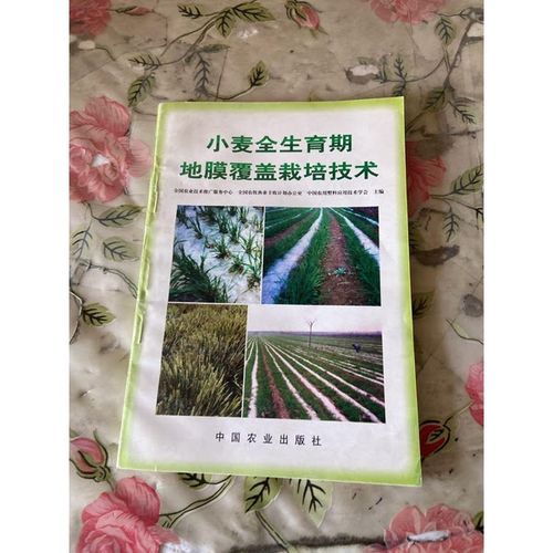 正版旧书推荐 一本搞定小麦全生育期地膜覆盖栽培技术